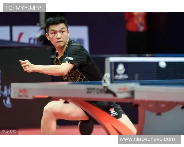 成都乒乓球队反击战术解析与未来发展展望