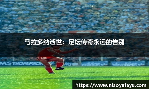 u8国际平台