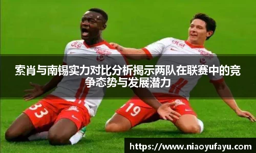 索肖与南锡实力对比分析揭示两队在联赛中的竞争态势与发展潜力